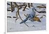 Bluejay-Wilhelm Goebel-Framed Giclee Print