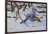 Bluejay-Wilhelm Goebel-Framed Giclee Print