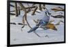 Bluejay-Wilhelm Goebel-Framed Giclee Print