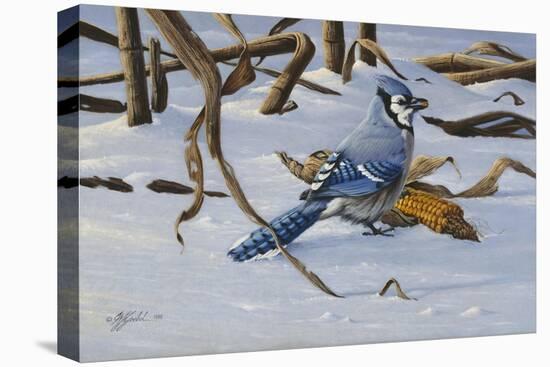 Bluejay-Wilhelm Goebel-Stretched Canvas