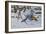 Bluejay-Wilhelm Goebel-Framed Giclee Print