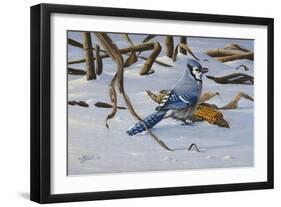 Bluejay-Wilhelm Goebel-Framed Giclee Print