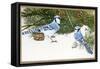 Bluejays-William Vanderdasson-Framed Stretched Canvas