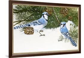 Bluejays-William Vanderdasson-Framed Giclee Print