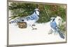 Bluejays-William Vanderdasson-Mounted Giclee Print