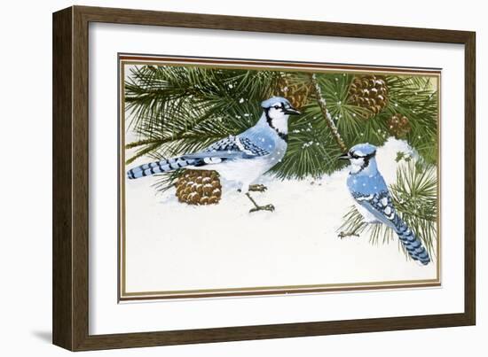 Bluejays-William Vanderdasson-Framed Giclee Print