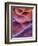 Bluemix-Jim Crotty-Framed Photographic Print