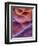 Bluemix-Jim Crotty-Framed Photographic Print