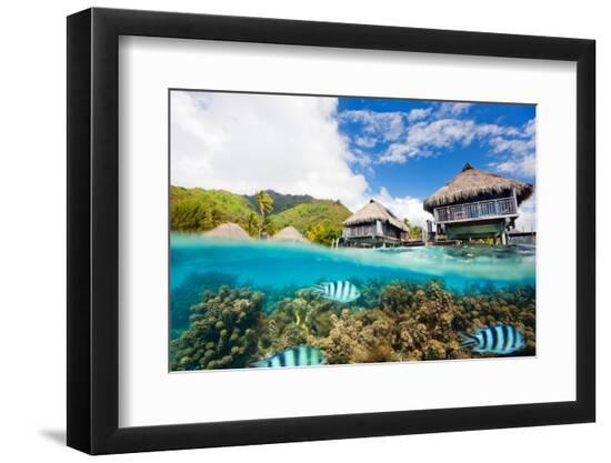 Photographic Print, , large