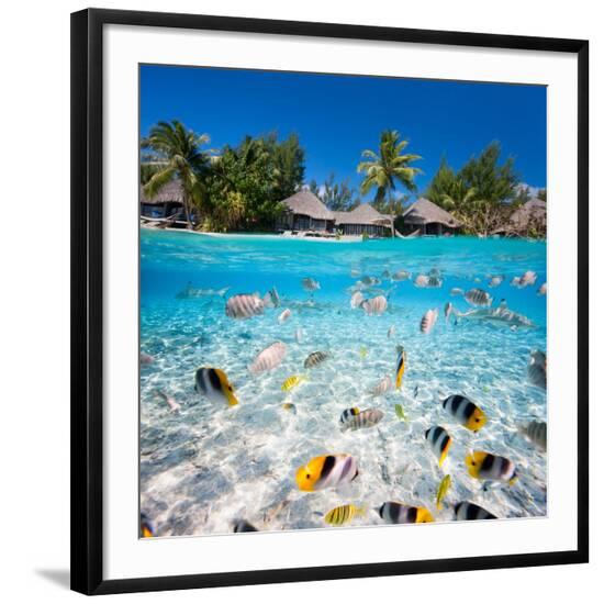 Photographic Print, , large