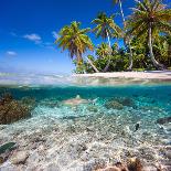 Tropical Island under and Above Water-Blueorangestudio-Photographic Print