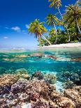 Tropical Island under and Above Water-Blueorangestudio-Photographic Print