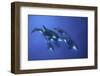 Blueplanet-Serge Melesan-Framed Photographic Print