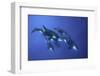 Blueplanet-Serge Melesan-Framed Photographic Print