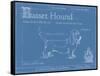 Blueprint Basset Hound-Ethan Harper-Framed Stretched Canvas