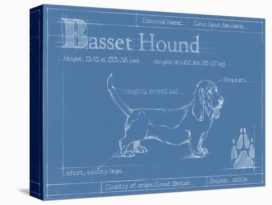 Blueprint Basset Hound-Ethan Harper-Stretched Canvas