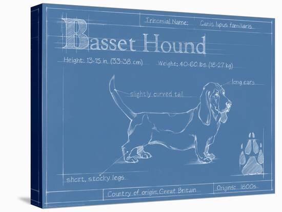 Blueprint Basset Hound-Ethan Harper-Stretched Canvas