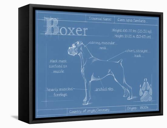 Blueprint Boxer-Ethan Harper-Framed Stretched Canvas