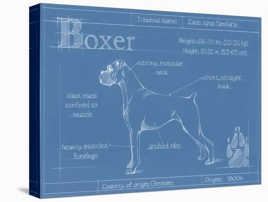 Blueprint Boxer-Ethan Harper-Stretched Canvas