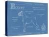 Blueprint Boxer-Ethan Harper-Stretched Canvas