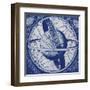 Blueprint Celestial  IV-Giampaolo Pasi-Framed Art Print