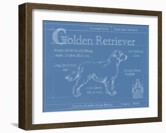 Blueprint Golden Retriever-Ethan Harper-Framed Art Print