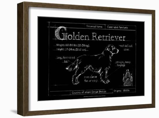 Blueprint Golden Retriever-Ethan Harper-Framed Art Print