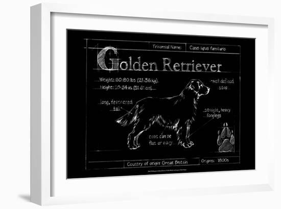 Blueprint Golden Retriever-Ethan Harper-Framed Art Print