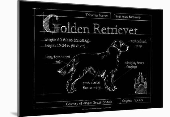 Blueprint Golden Retriever-Ethan Harper-Mounted Art Print