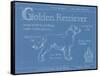 Blueprint Golden Retriever-Ethan Harper-Framed Stretched Canvas