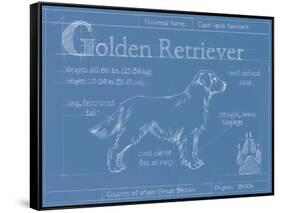 Blueprint Golden Retriever-Ethan Harper-Framed Stretched Canvas