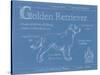 Blueprint Golden Retriever-Ethan Harper-Stretched Canvas