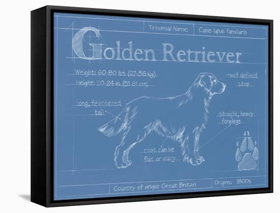 Blueprint Golden Retriever-Ethan Harper-Framed Stretched Canvas