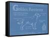 Blueprint Golden Retriever-Ethan Harper-Framed Stretched Canvas