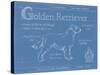 Blueprint Golden Retriever-Ethan Harper-Stretched Canvas