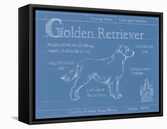 Blueprint Golden Retriever-Ethan Harper-Framed Stretched Canvas