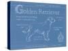 Blueprint Golden Retriever-Ethan Harper-Stretched Canvas