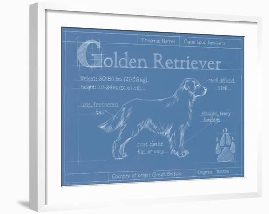 Blueprint Golden Retriever-Ethan Harper-Framed Art Print