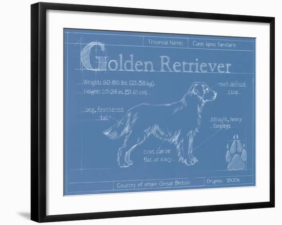 Blueprint Golden Retriever-Ethan Harper-Framed Art Print