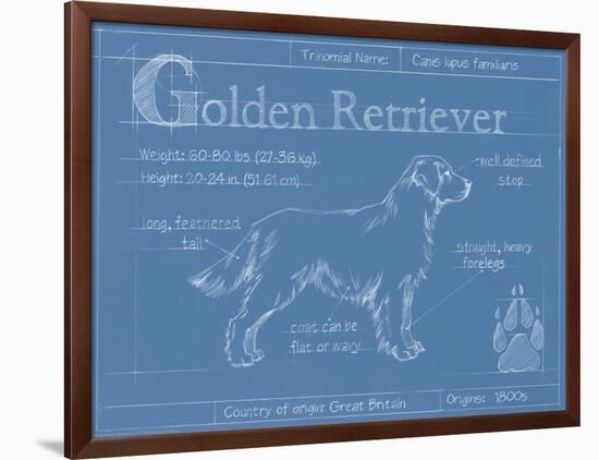 Blueprint Golden Retriever-Ethan Harper-Framed Art Print