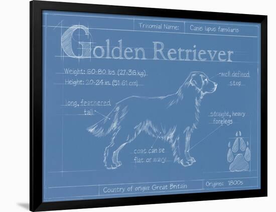 Blueprint Golden Retriever-Ethan Harper-Framed Art Print