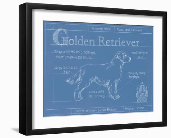 Blueprint Golden Retriever-Ethan Harper-Framed Art Print