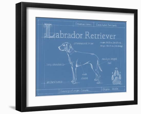 Blueprint Labrador Retriever-Ethan Harper-Framed Art Print