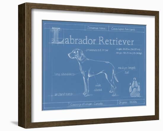 Blueprint Labrador Retriever-Ethan Harper-Framed Art Print