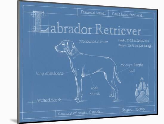 Blueprint Labrador Retriever-Ethan Harper-Mounted Art Print