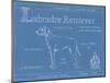 Blueprint Labrador Retriever-Ethan Harper-Mounted Art Print