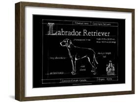 Blueprint Labrador Retriever-Ethan Harper-Framed Art Print