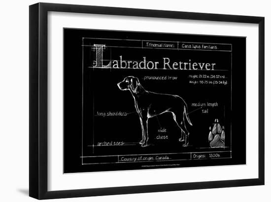 Blueprint Labrador Retriever-Ethan Harper-Framed Art Print