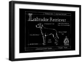 Blueprint Labrador Retriever-Ethan Harper-Framed Art Print