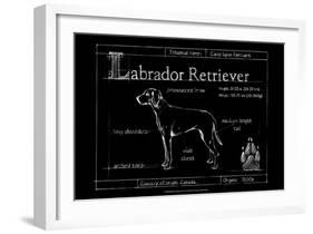 Blueprint Labrador Retriever-Ethan Harper-Framed Art Print